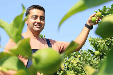 Mühendisken Girişimci Oldu, Mersin'de Tropikal Meyve Üretiyor