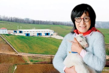 Güney Koreli Kadın Girişimci Kocaeli'de Çiftlik Kurdu